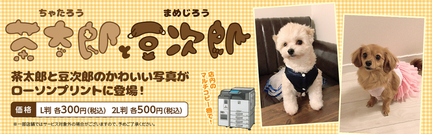茶太郎と豆次郎 商品一覧 ローソンプリント エンタテイメントプリントサービス