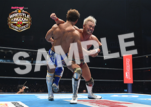 NJPW__0104　第8試合　27