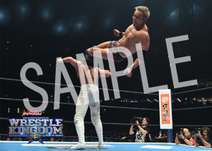 NJPW__SP 22