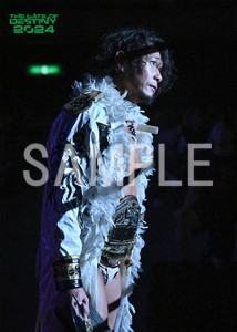 DRAGONGATE__THE GATE OF DESTINY 2024_01