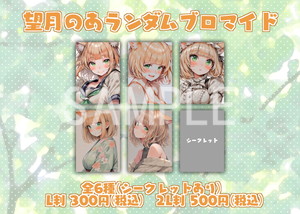 望月のあ__ランダムブロマイドL