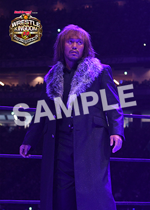 NJPW__0104　第7試合　17