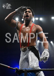 DRAGONGATE__THE FINAL GATE 2024_10