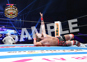 NJPW__0104　第7試合　05