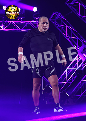 G1 CLIMAX 31__A019