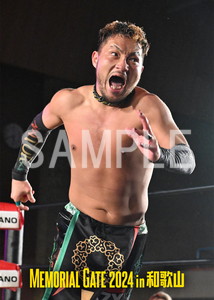 DRAGONGATE__MEMORIALGATE2024_10