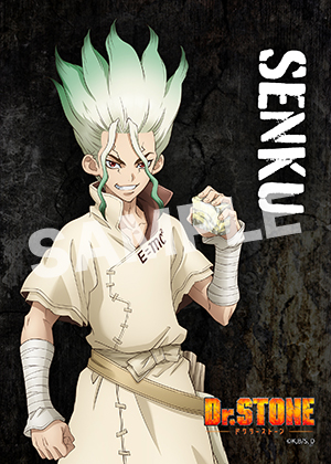 Dr Stone 石神千空03 L