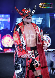 ポストカード】新日本プロレス 14枚セット＋撮り下ろし生写真