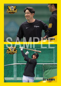 阪神優勝2025__糸原健斗02 ステッカー