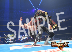 NJPW__G1 棚橋 弘至 11