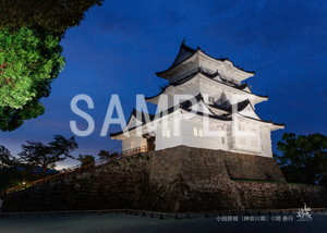 岡泰行__23_小田原城（神奈川県）