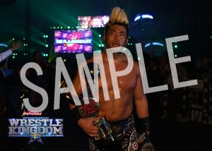 NJPW__IWGPtag 13