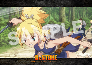 Dr Stone 2期第8話15