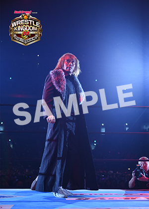 NJPW__0104　第7試合　23