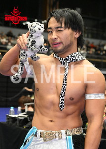 DRAGONGATE__THE GATE OF BAYSIDE 2025_04