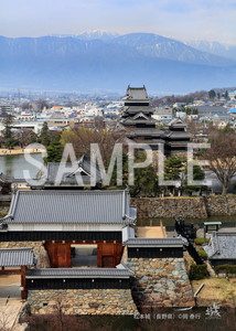 岡泰行__12_松本城（長野県）