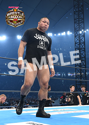 NJPW__0104　第0-2試合　07