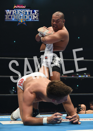 NJPW__RPW 07