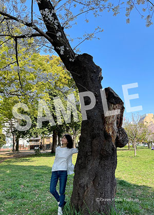 辛島美登里__28  L