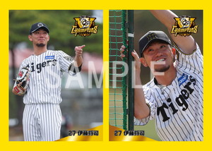 TIGERS B-LUCK DYNAMITE SERIES レプリカ 伊藤将司 ブロマイド 7/13 T-S No.1 27伊藤（将司） - 阪神タイガース公式