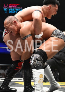 DRAGONGATE__KOBEPRO-WRESTLINGFESTIVAL_34