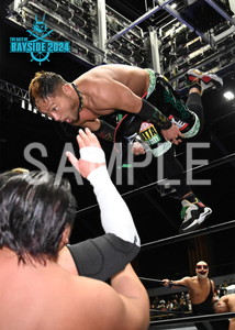 DRAGONGATE__THEGATEOFBAYSIDE2024_04