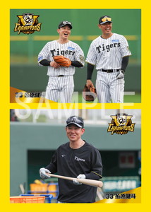 阪神タイガース 糸原健斗 オンサイトカード SR 阪神タイガース 糸原健斗 オンサイトカード SR プロ野球】2025年