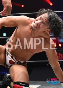 DRAGONGATE__KOBEPRO-WRESTLINGFESTIVAL_43