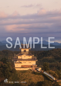 岡泰行__11_掛川城（静岡県）