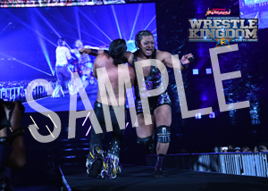 NJPW__IWGPtag 01