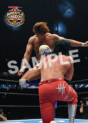 NJPW__0105　第6試合　12