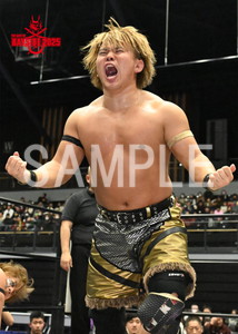 DRAGONGATE__THE GATE OF BAYSIDE 2025_17