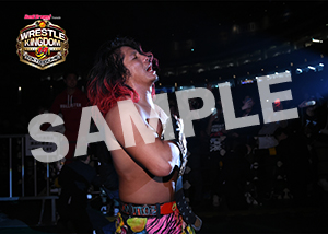 NJPW__0104　第6試合　31