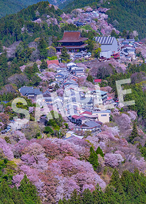 tsumizo__06金峯山寺（奈良