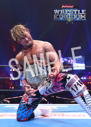 NJPW__IWGP 13