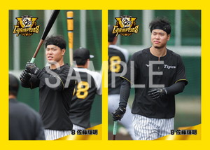阪神タイガース 優勝記念カード 佐藤輝明 阪神タイガース 優勝記念カード 佐藤輝明 Amazon.co.jp: 阪神