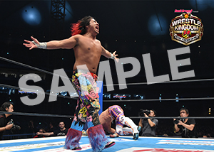 NJPW__0104　第6試合　24