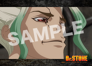 Dr Stone 2期第2話