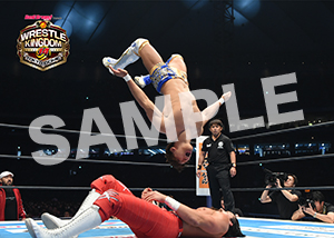 NJPW__0105　第6試合　03