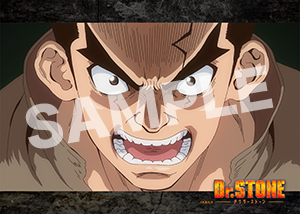 Dr Stone 2期第8話09