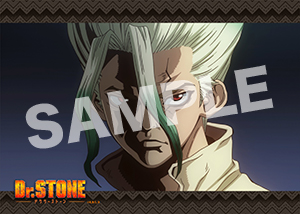 Dr Stone 第12話02