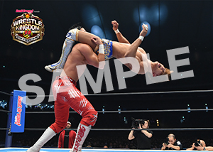 NJPW__0105　第6試合　04