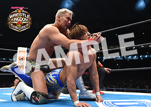 NJPW__0104　第8試合　17