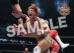 NJPW__0105　第6試合　08