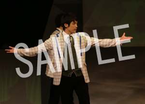いとしの儚 ブロマイド 鈴次郎コンプリート 佐藤流司 その他