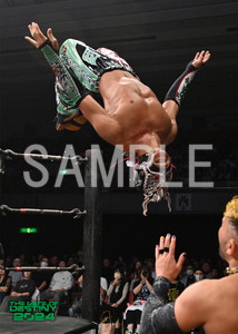 DRAGONGATE__THE GATE OF DESTINY 2024_24
