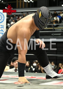 DRAGONGATE__THE GATE OF BAYSIDE 2025_26