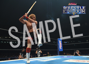 NJPW__IC 08