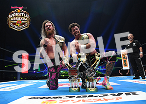 NJPW__0104　第4試合　04