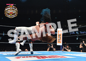 NJPW__0104　第7試合　27